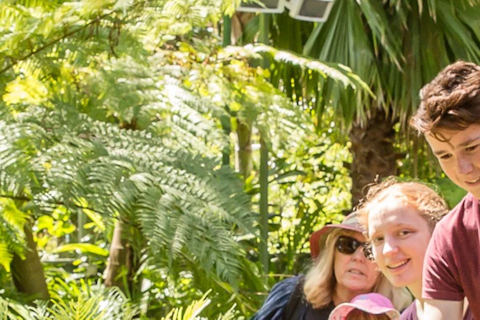 A group of people in a lush outdoor setting observe a parrot perched on a person's hand.