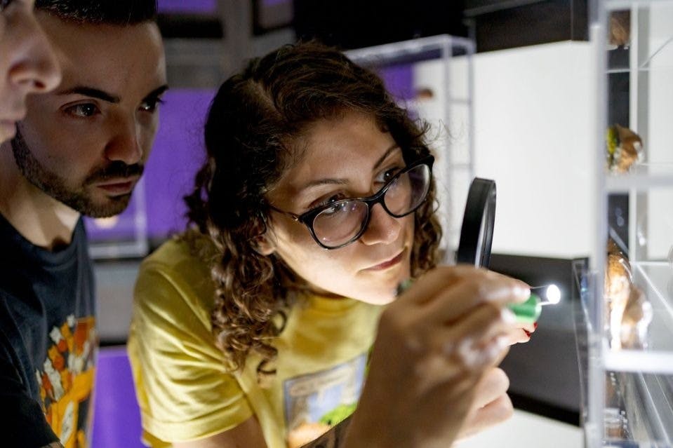 Επισκέπτες του Museodivino