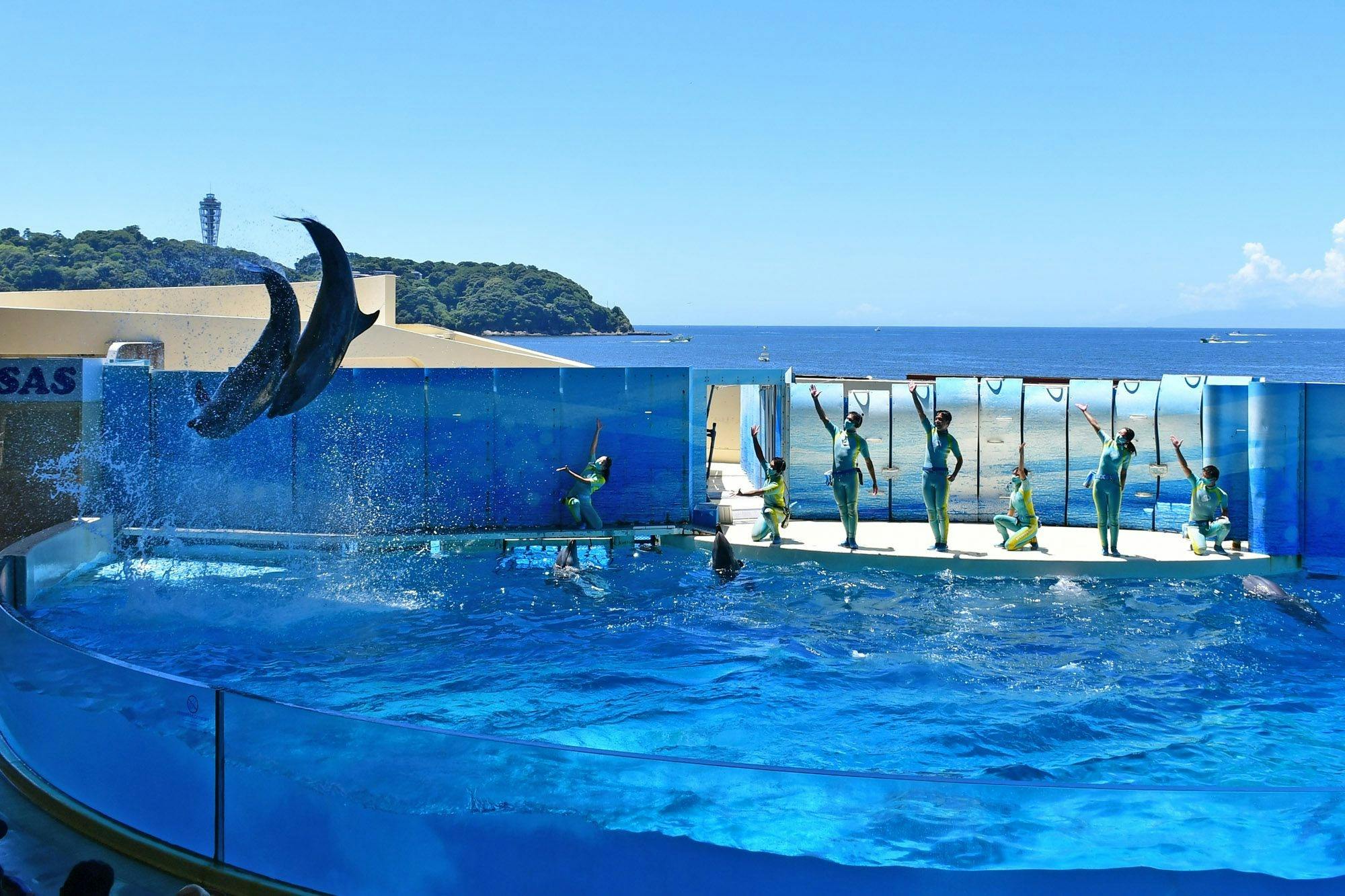 Enoshima Aquarium Fujisawa