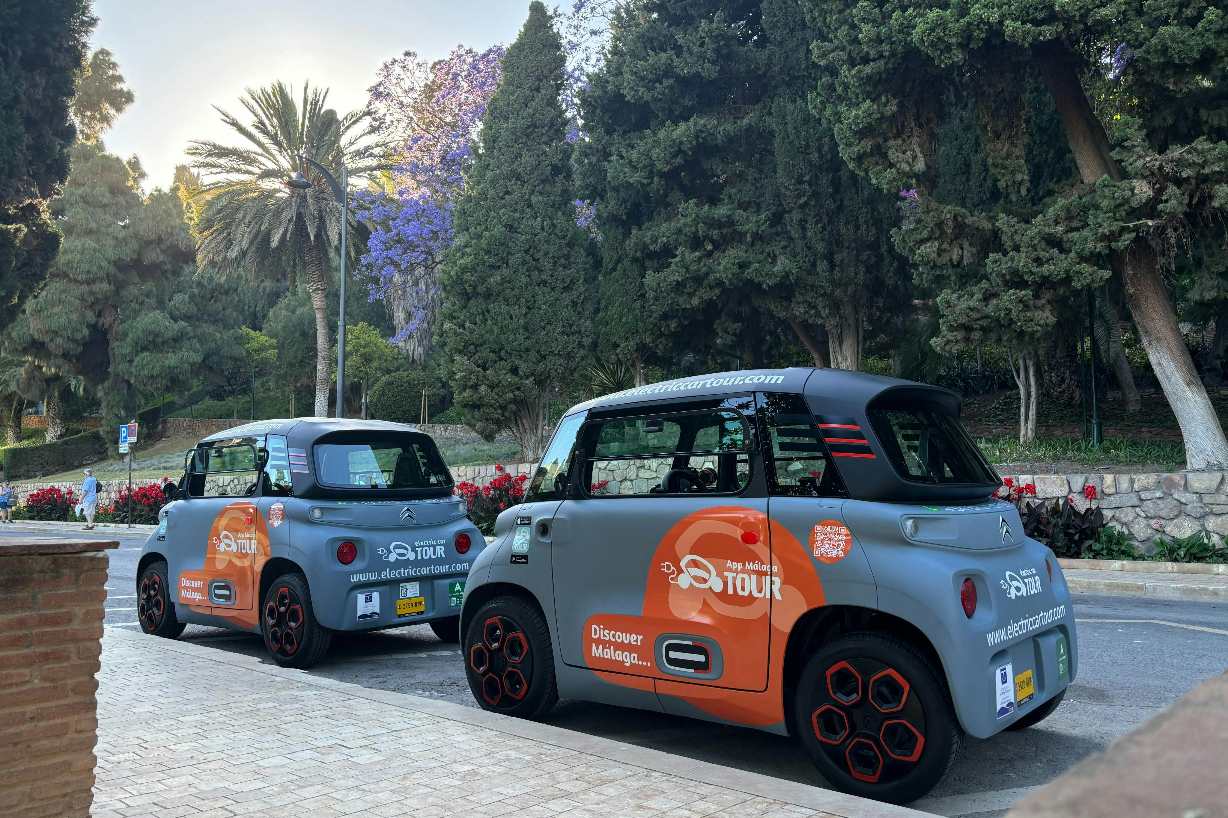 Malaga: Tour guidato in auto elettrica + ingresso alla Grotta del Tesoro — 8