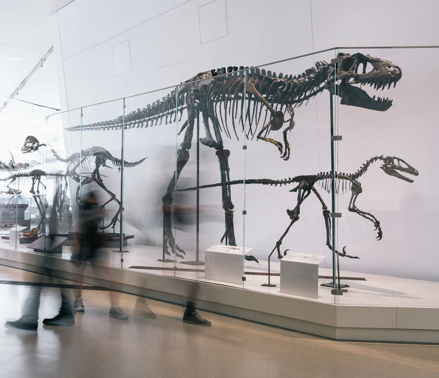 Toronto Royal Ontario Museum Tickets