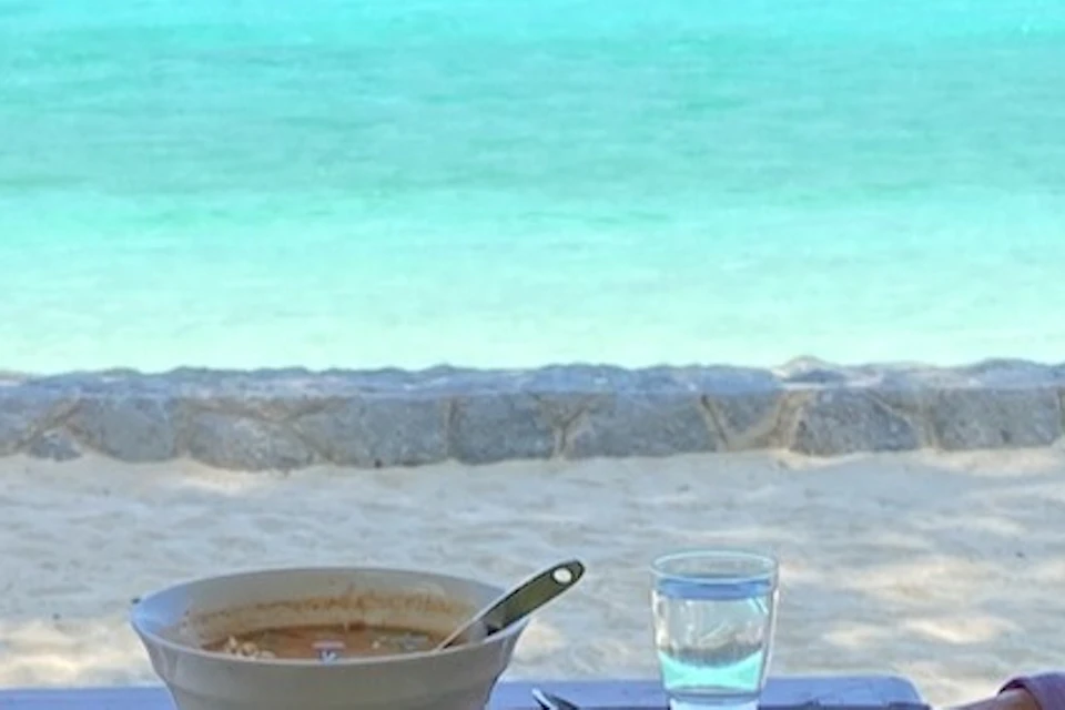 Delicious lunch