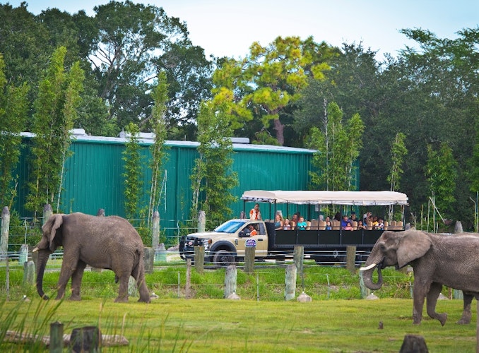 Зоопарк в Лоури-парке: быстрый вход Билет - 10