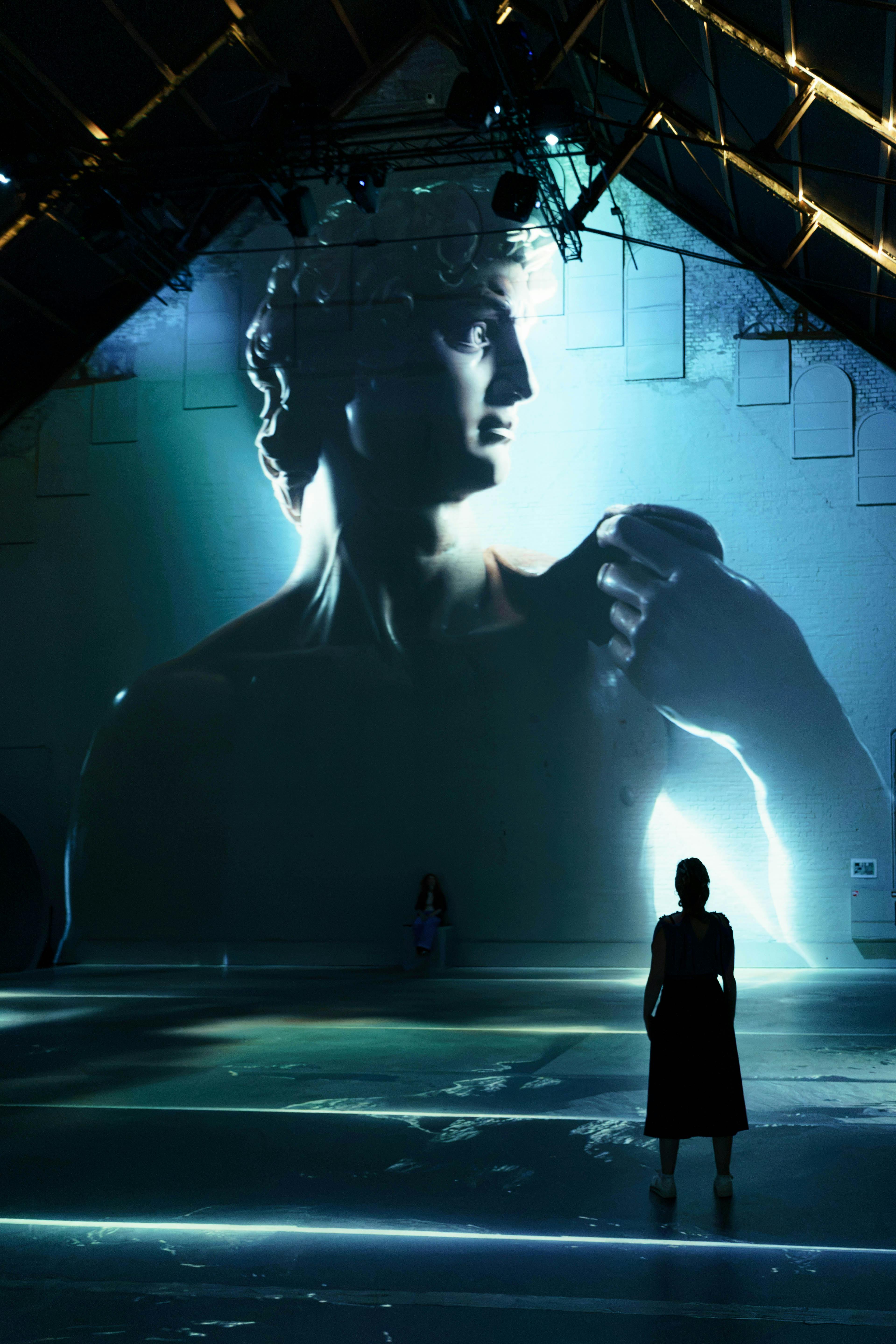 Fabrique des Lumieres: Da Vinci, Raphael, Michelangelo - The Renaissance Masters - Photo 9