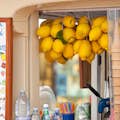Amalfi\_partikular der Zitronen