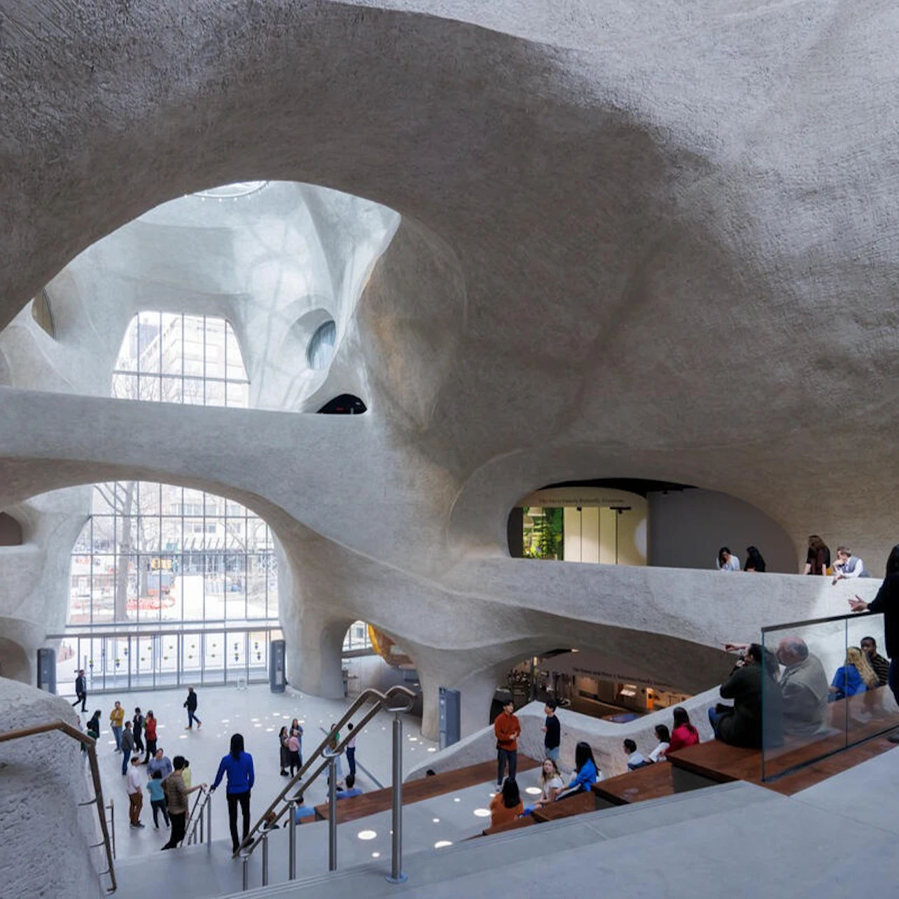 American Museum of Natural History (AMNH): Eintrittskarte in New York - Bild 7