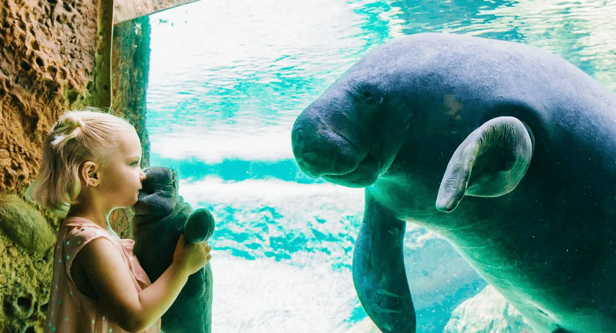 ZooTampa em Lowry Park: bilhete de acesso rápido