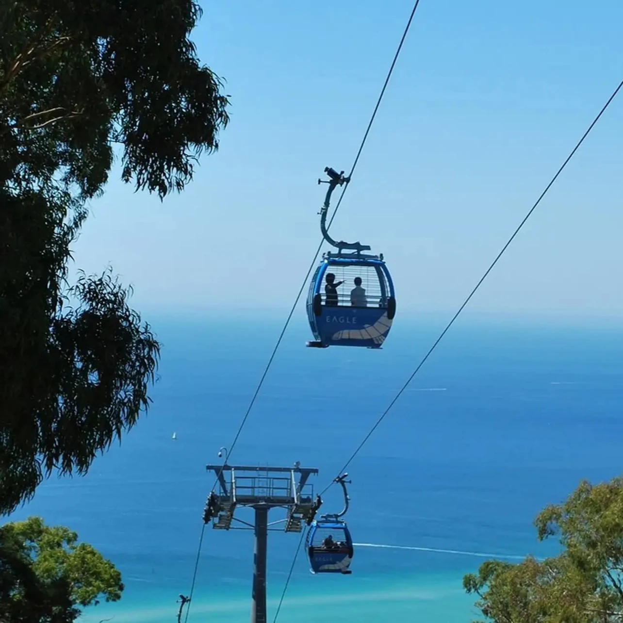 Mornington Peninsula: Arthurs Seat Eagle Gondola Ticket in Melbourne β Tiqets