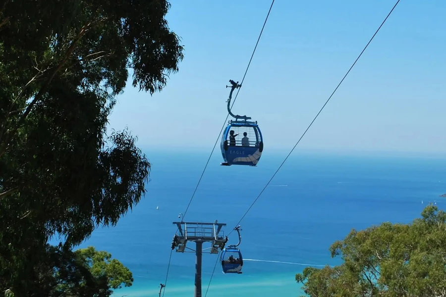 Melbourne Arthurs Seat Eagle Cable Car Ride Tickets