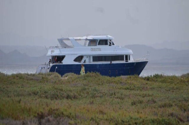 Κολύμβηση με αναπνευστήρα στα νησιά Hamata, Mara Alam, Ερυθρά Θάλασσα, Αίγυπτος