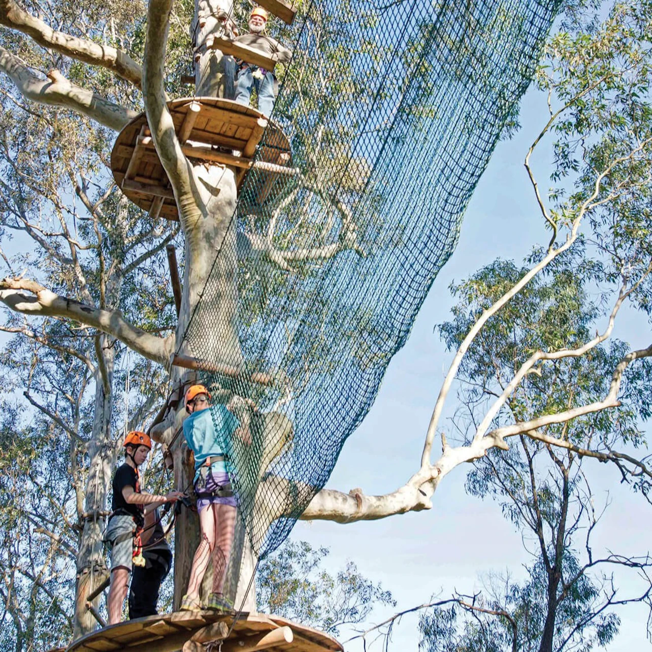 Western Sydney: Treetops Adventure in Abbotsbury β Tiqets