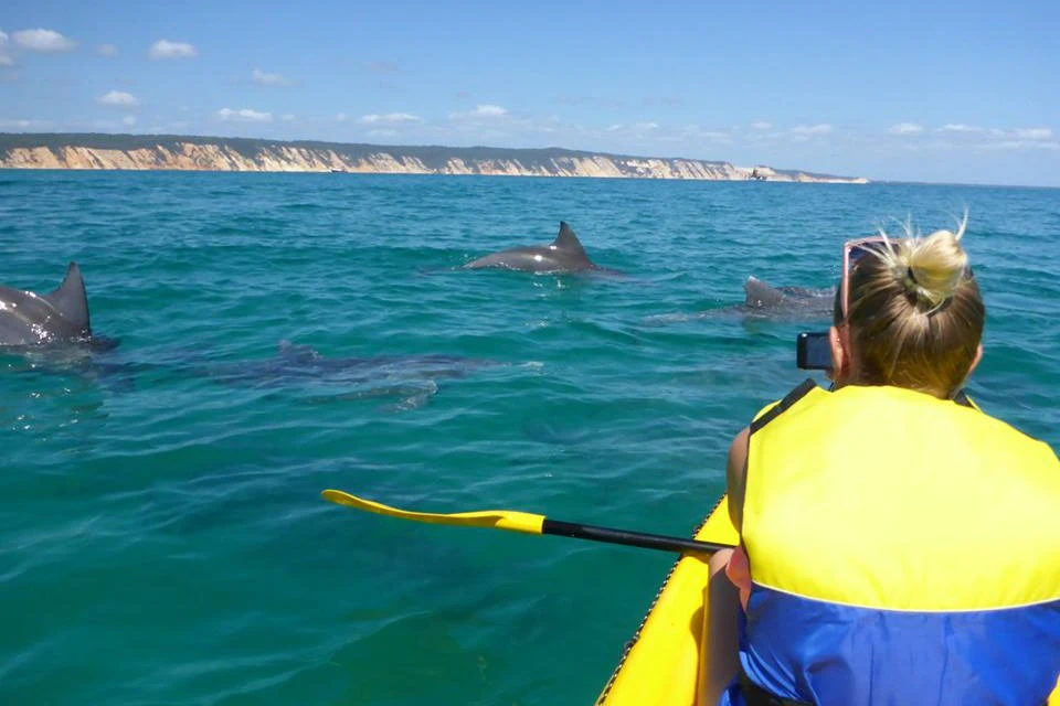 Noosa: Day Tour with Dolphin View, Sea Kayak & Beach 4x4 Adventure