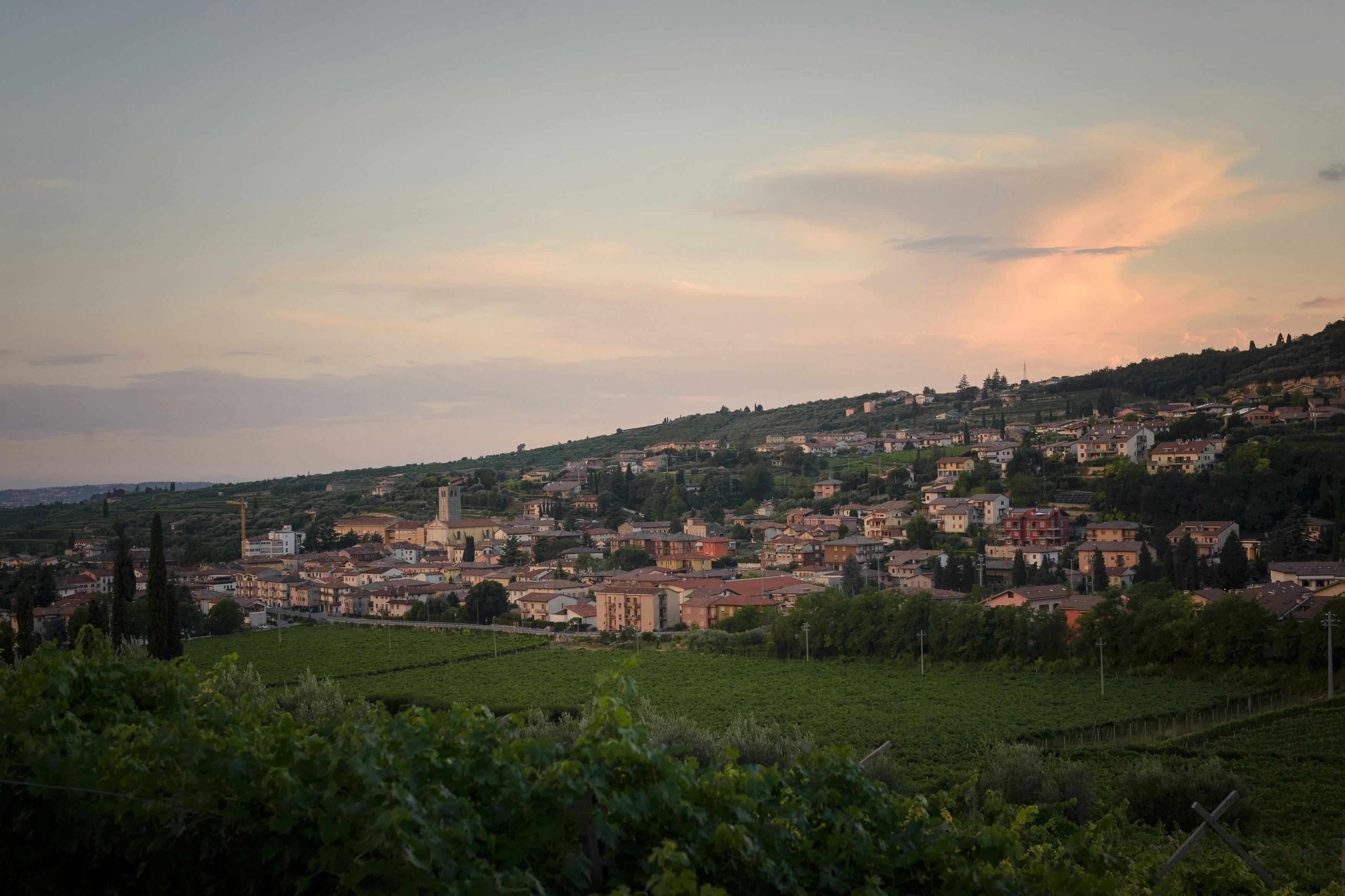 Una serena cittadina di campagna con edifici sparsi su una collina, circondata dal verde e sotto un tenue cielo serale.