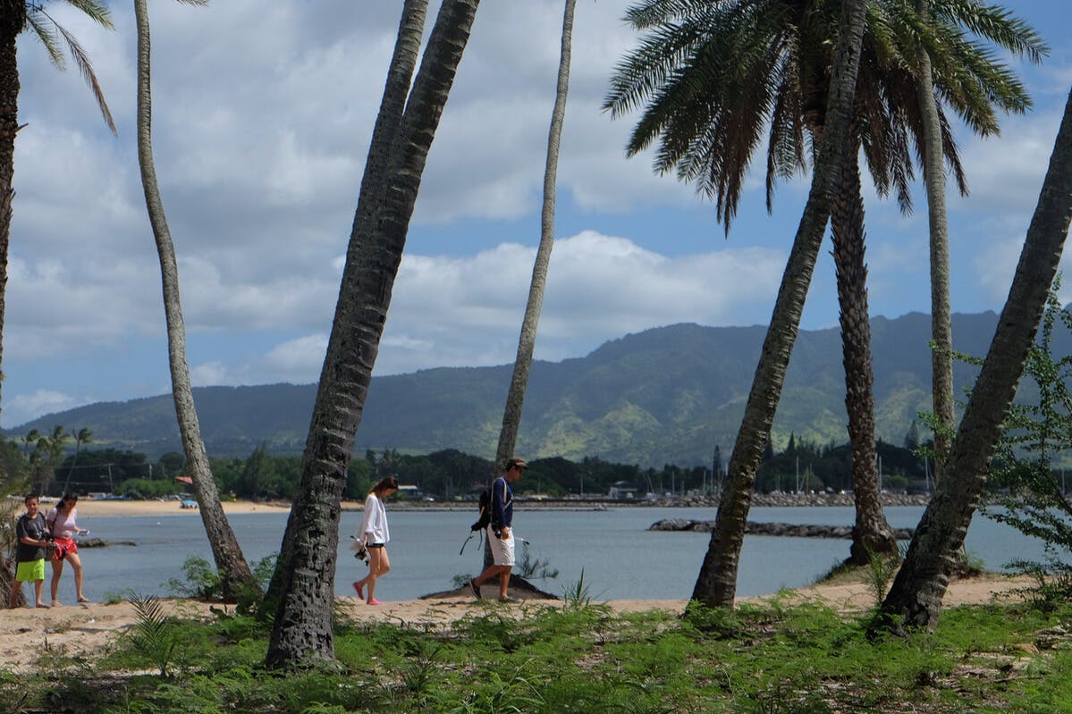 Go City Oahu: Pass esploratore