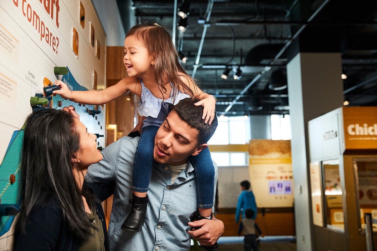 Go City Boston: All Inclusive-pass