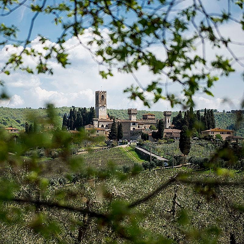 Ιστορικό χωριό με κεντρικό πέτρινο πύργο περιτριγυρισμένο από δέντρα, μέσα από κλαδιά και φυλλώματα σε πρώτο πλάνο.