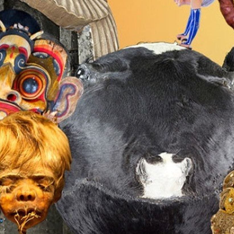 Коллаж с крупным планом лица коровы, деревянной маской, лицом ребенка и лицом в синей одежде на заднем плане.