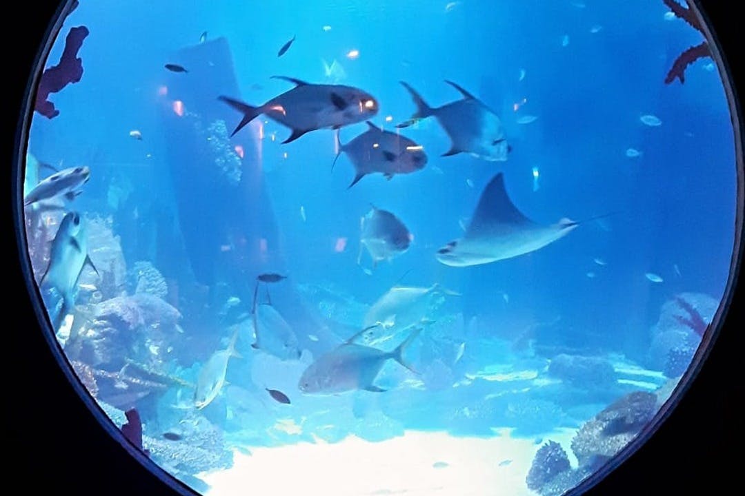 Emaar水族馆