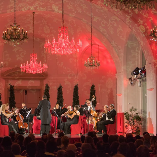 Schönbrunn Orangery: Christmas Market + Concert - Photo 3