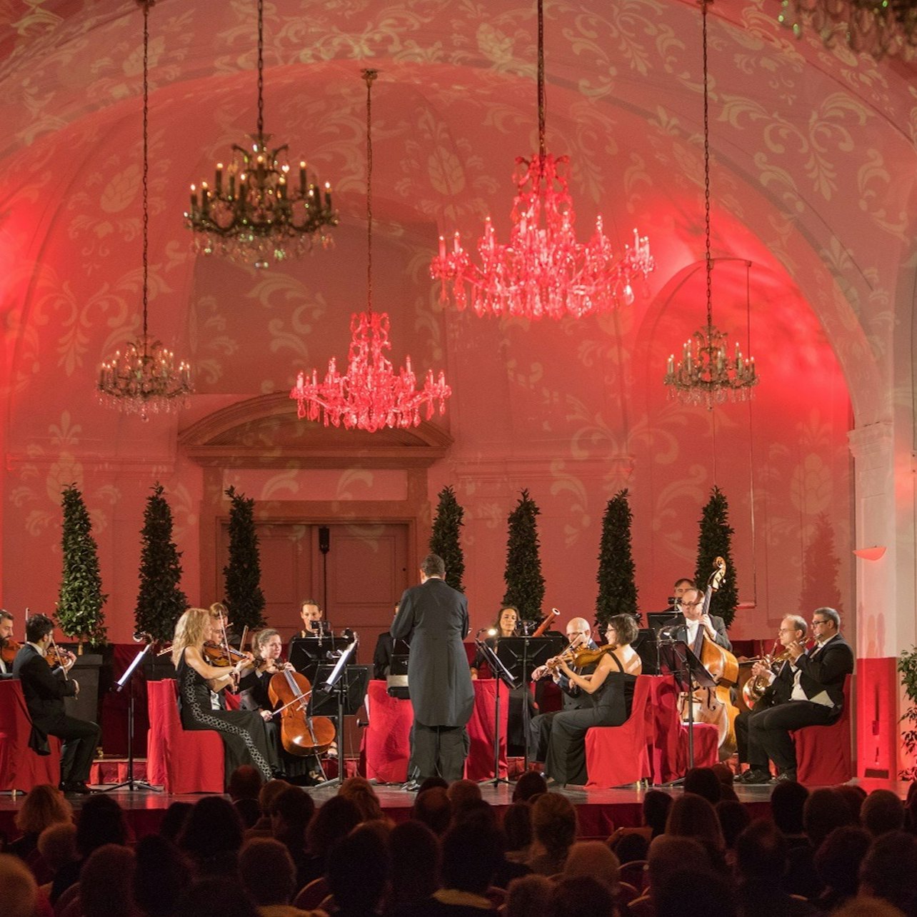 Mercado de Natal & Concerto - Acomodações em Viena