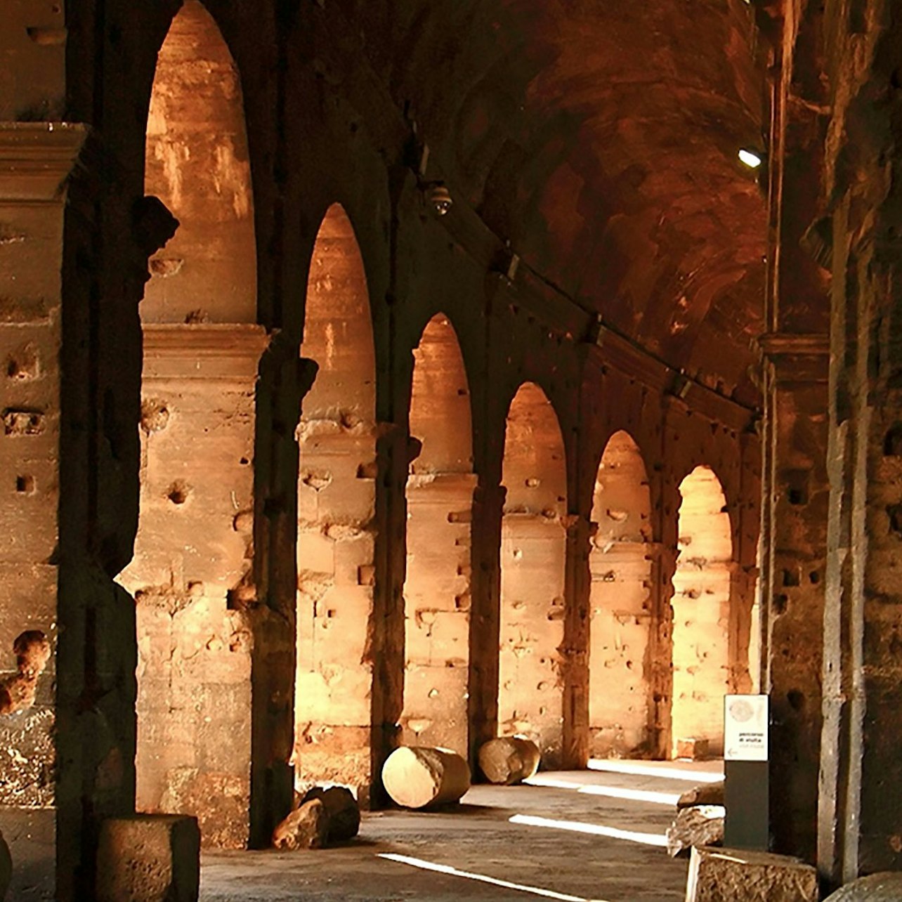 Colosseum, Roman Forum and Palatine: Guided Tour - Accommodations in Rome