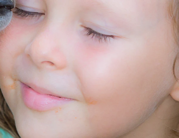 Port Douglas Wildlife Habitat tickets