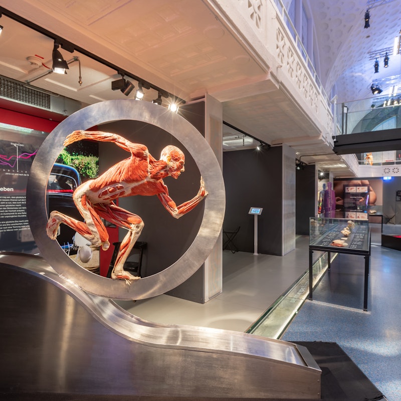 KÖRPERWELTEN Heidelberg-Tickets | Heidelberg