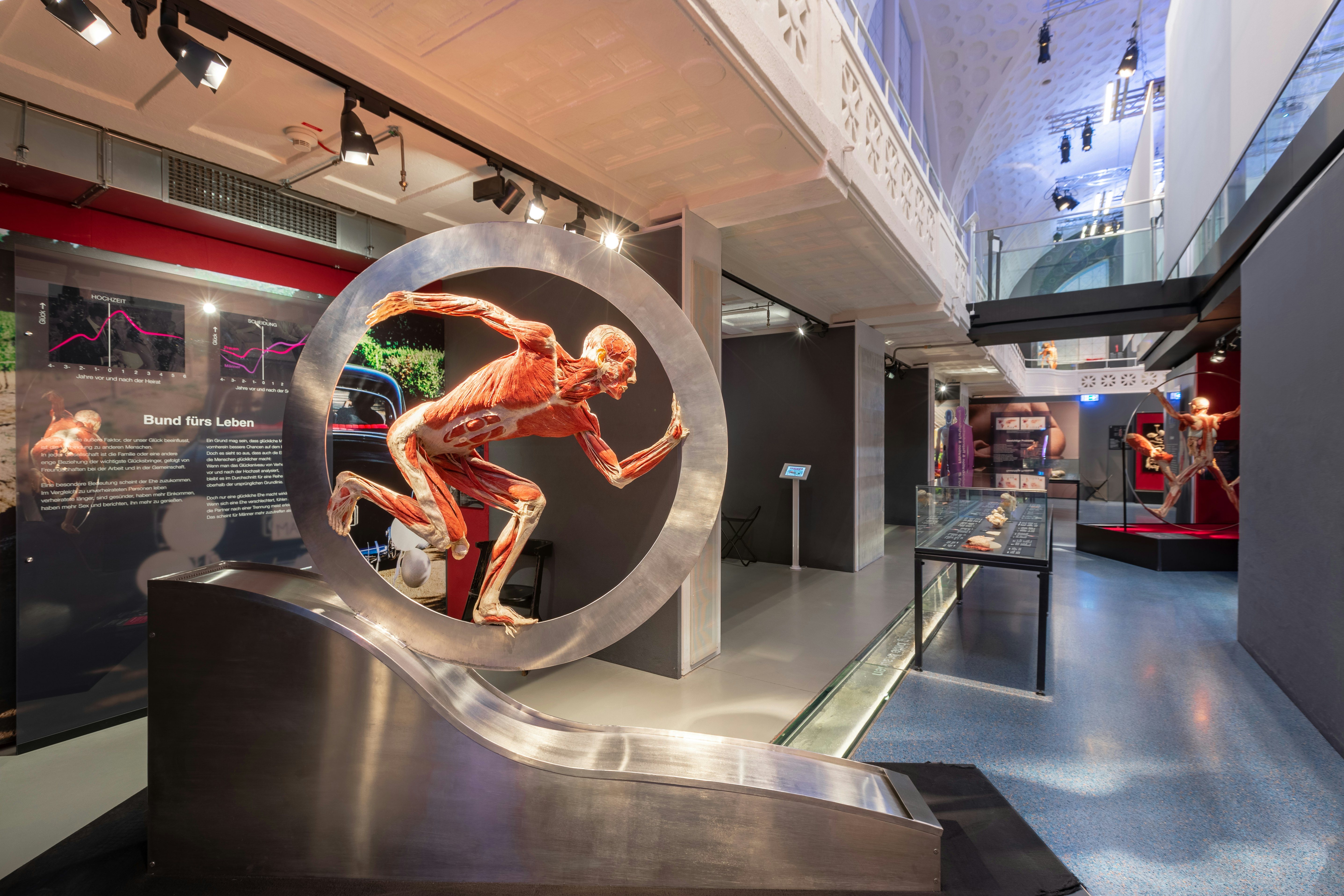 Body Worldsハイデルベルクのチケット ー ハイデルベルク Tiqets Com Body Worldsハイデルベルクのチケット ー ハイデルベルク Tiqets Com