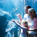 Una famiglia osserva i pesci dello Shedd Aquarium di Chicago