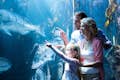 Familie bekijkt vissen in het Shedd Aquarium in Chicago