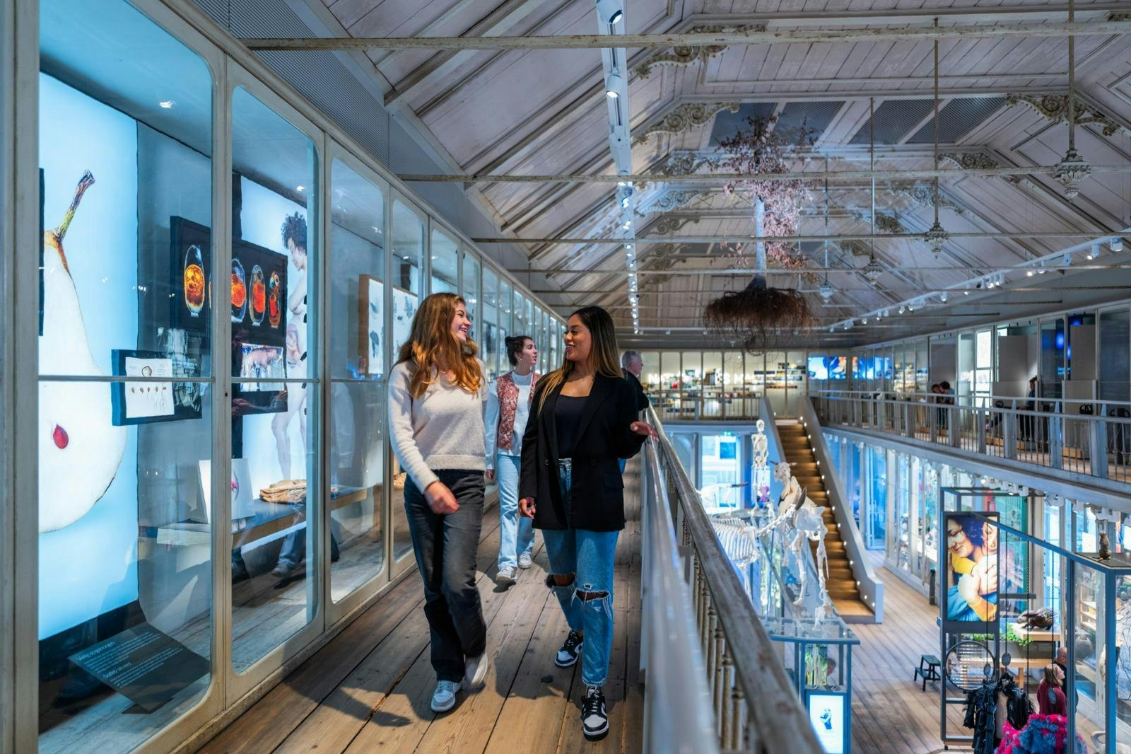 Three people walking and talking in a brightly lit museum with exhibits displayed in glass cases along the walls.