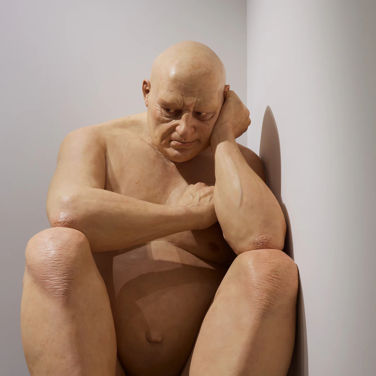 Art Gallery of New South Wales: Ron Mueck - Encounter in Sydney β Tiqets