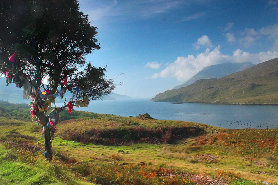 A tree decorated with colorful ribbons stands on grassy terrain overlooking a serene body of water and distant mountains.