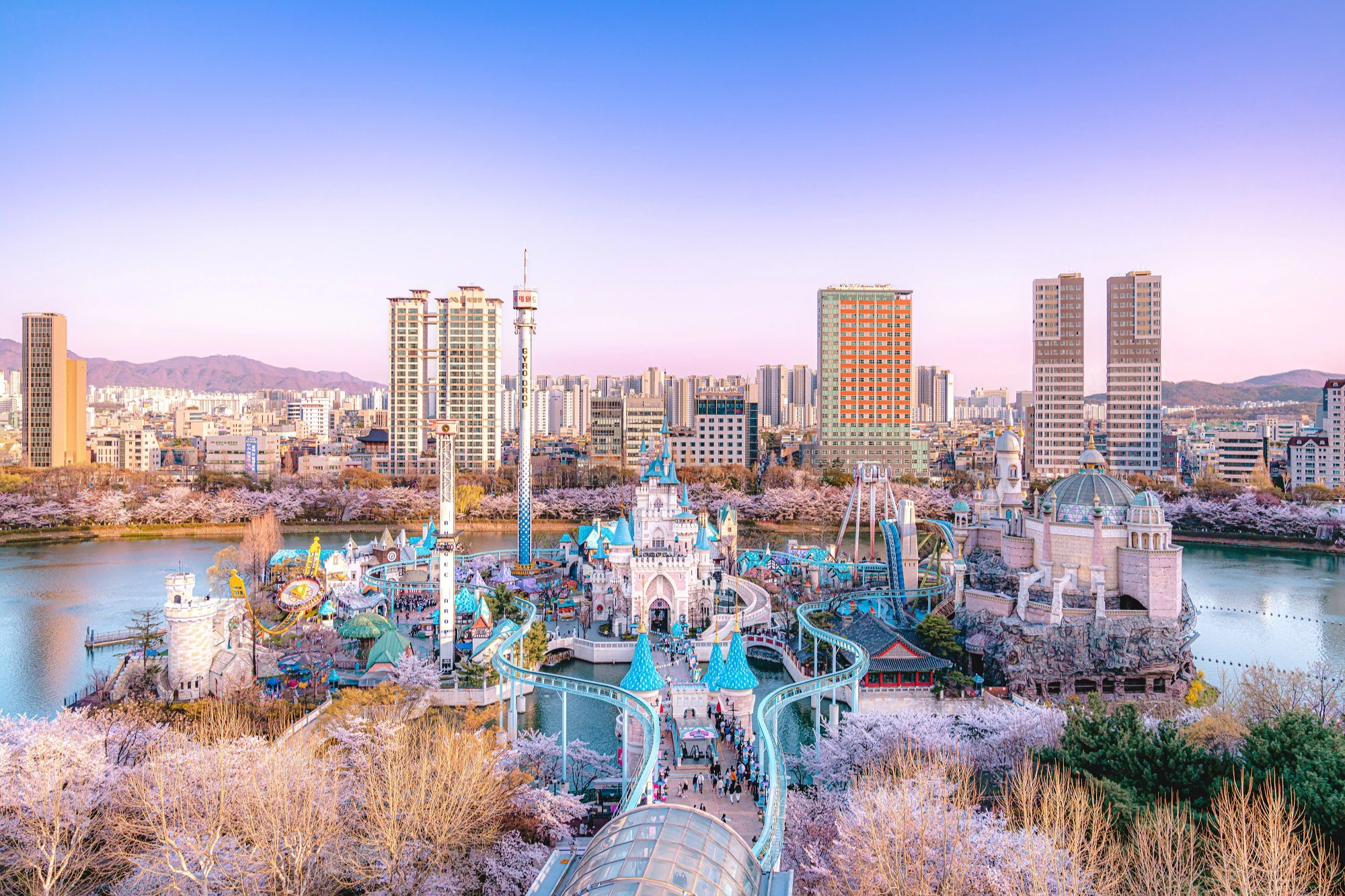 Amusement park with colorful rides and attractions, surrounded by cherry blossoms, with tall city buildings in the background.
