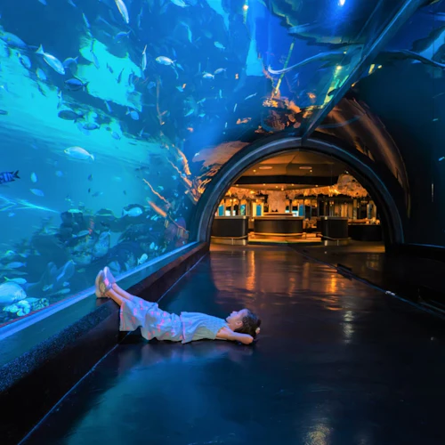 Aquaria Phuket: bilhete de entrada - Photo 5