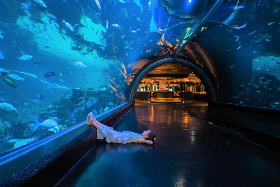 A child lies on the floor under a large aquarium tunnel, gazing at the fish and marine life illuminated by blue light.