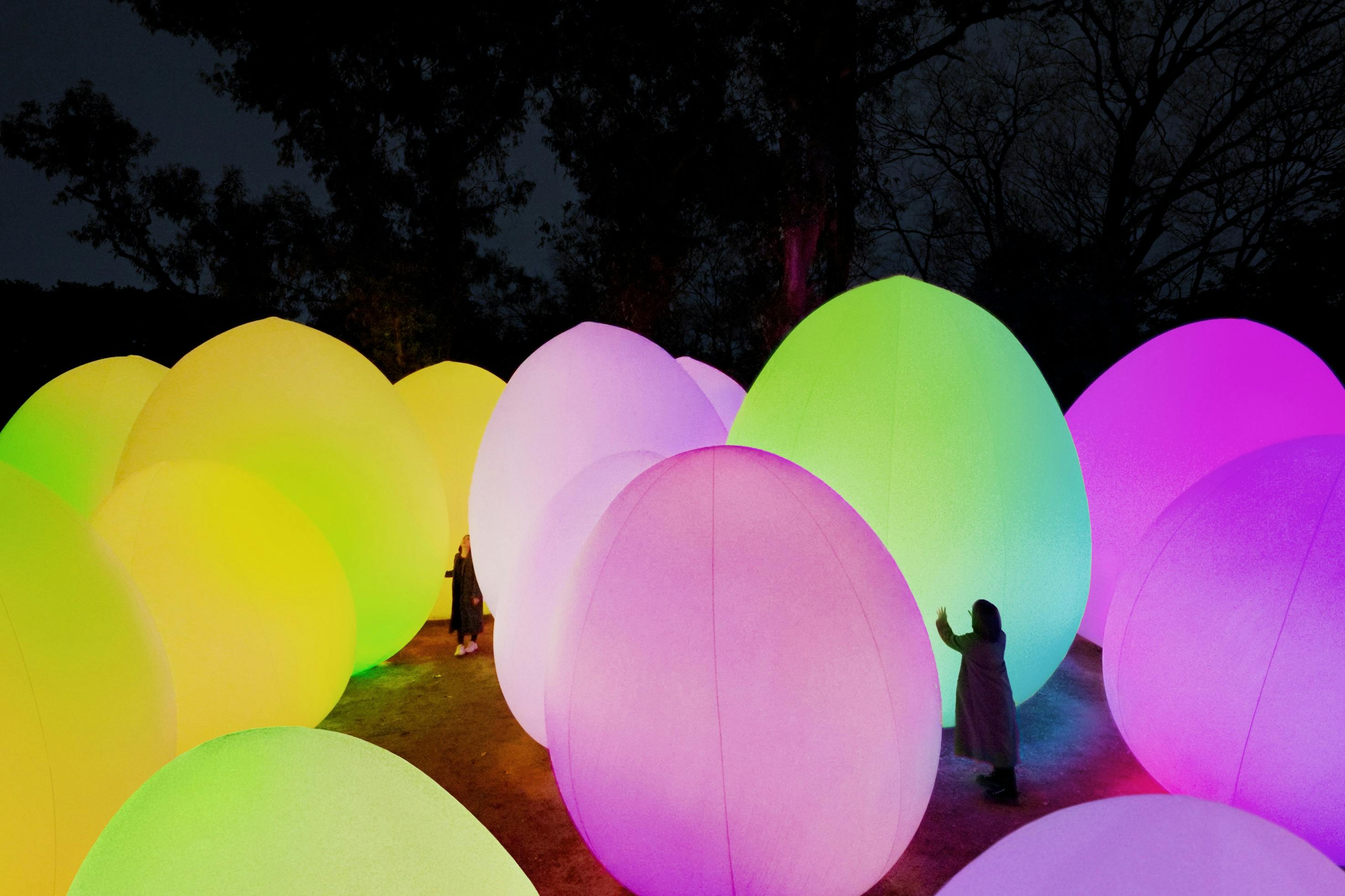 TeamLab Botanical Garden Osaka: Admission Ticket