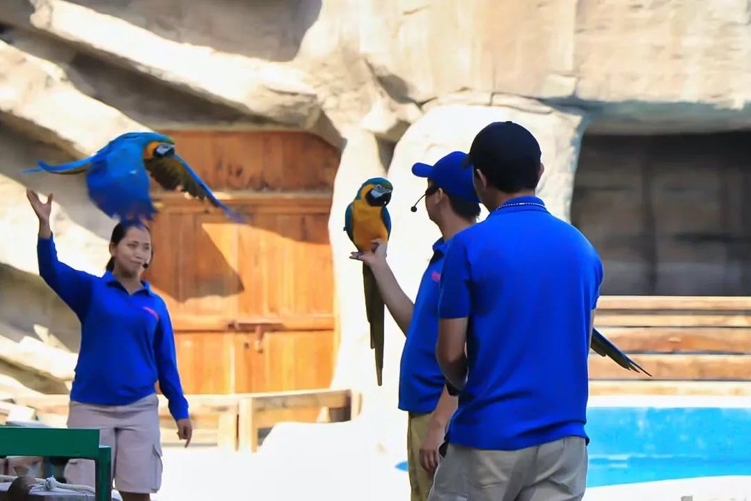 エミレーツ・パーク動物園