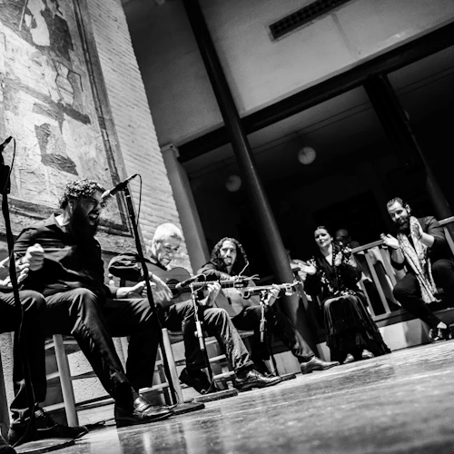 Tablao de Carmen: Show de flamenco + jantar - Photo 13