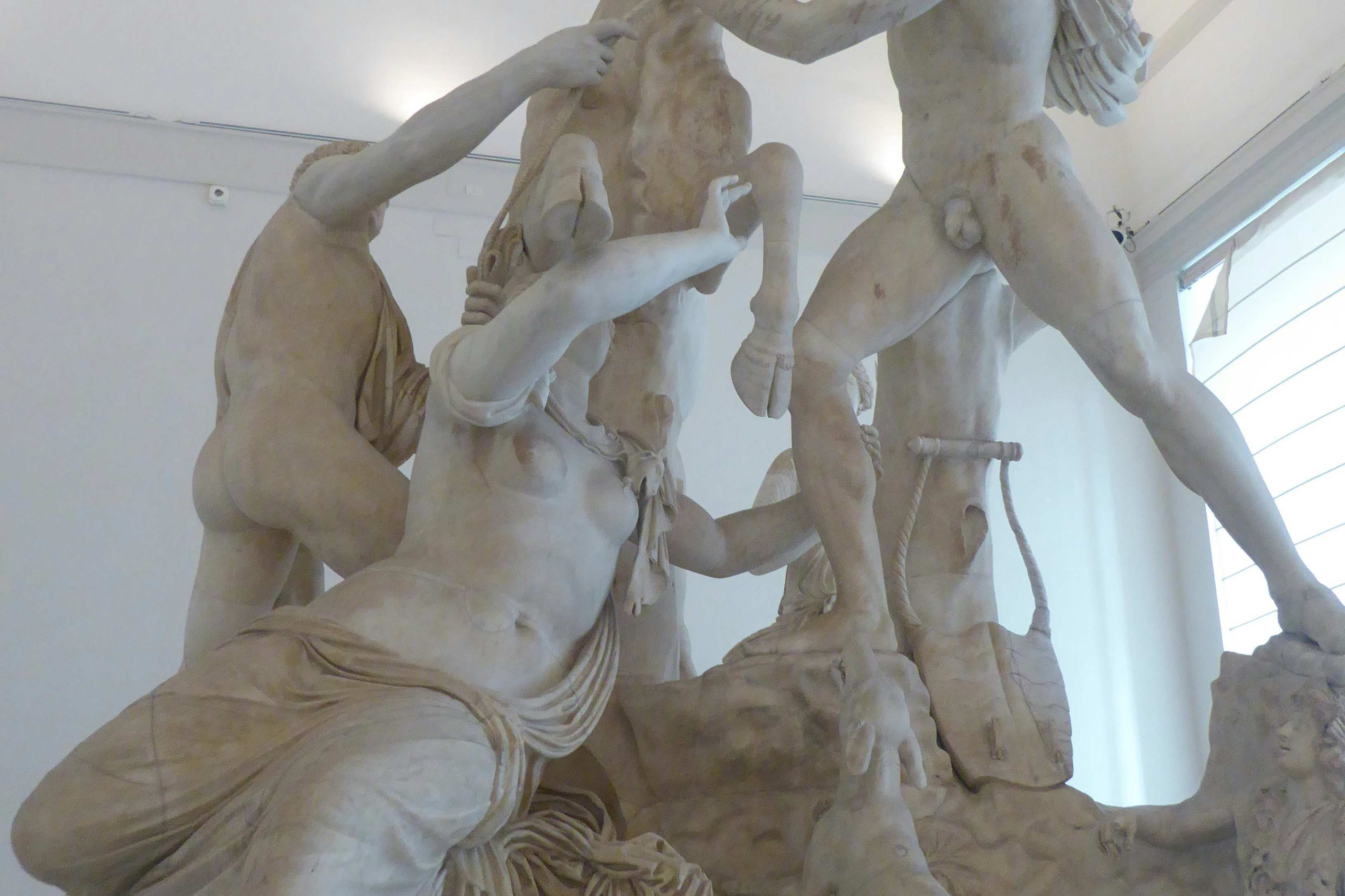 National Archaeological Museum of Naples: Entry Ticket