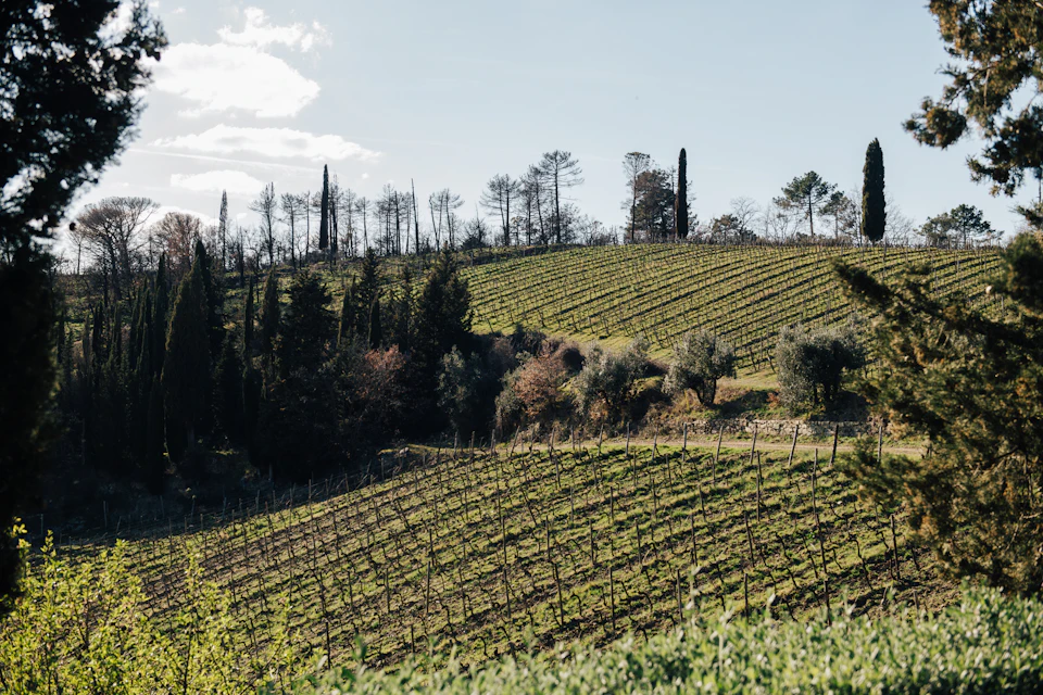 Chianti