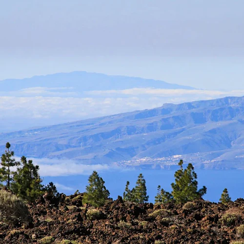 Tenerife: Visita guiada de meio dia ao Parque Nacional do Teide - Photo 2