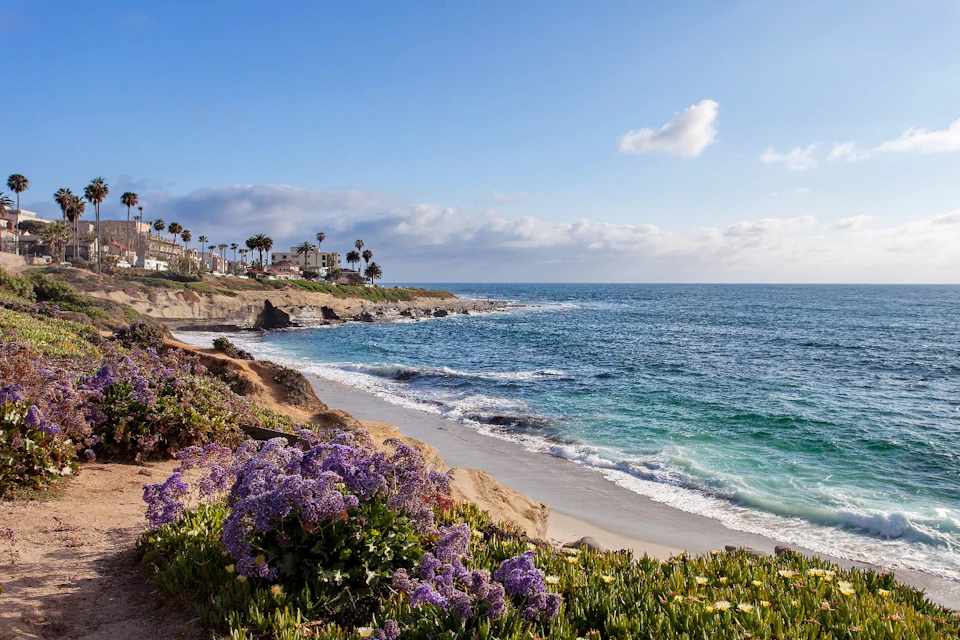 La Jolla Cove