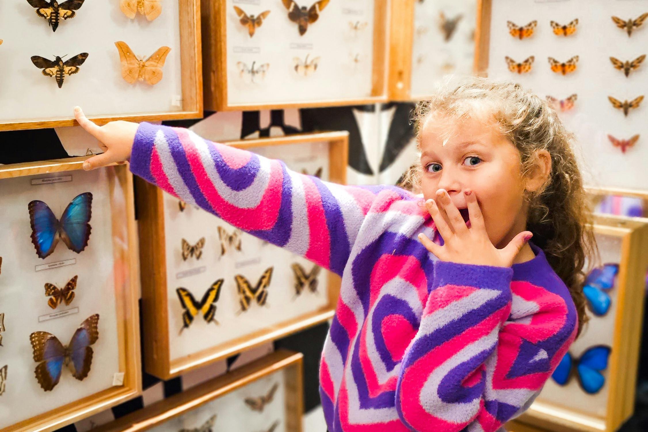 Museum of Live Butterflies