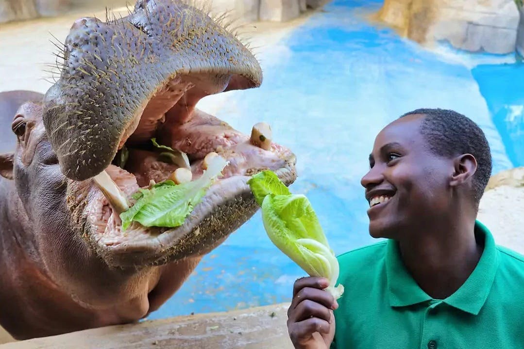 エミレーツ・パーク動物園
