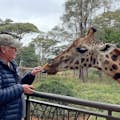 Alimentando uma girafa
