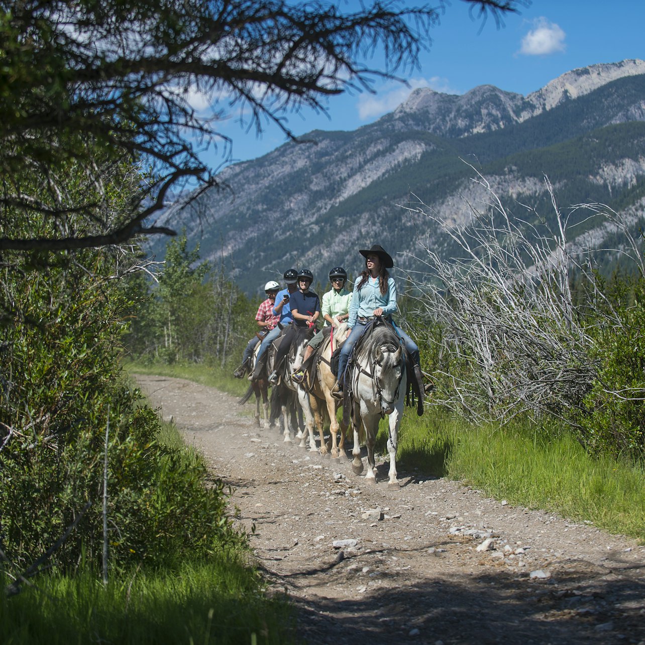 Paseo a caballo en Sundance Loop desde Banff - Alojamientos en Banff