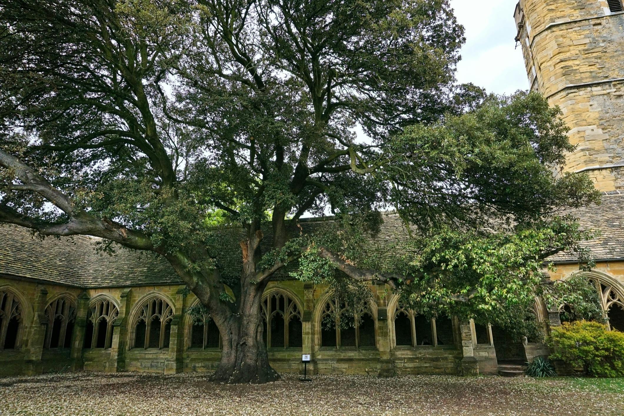 Tours a pie en Oxford