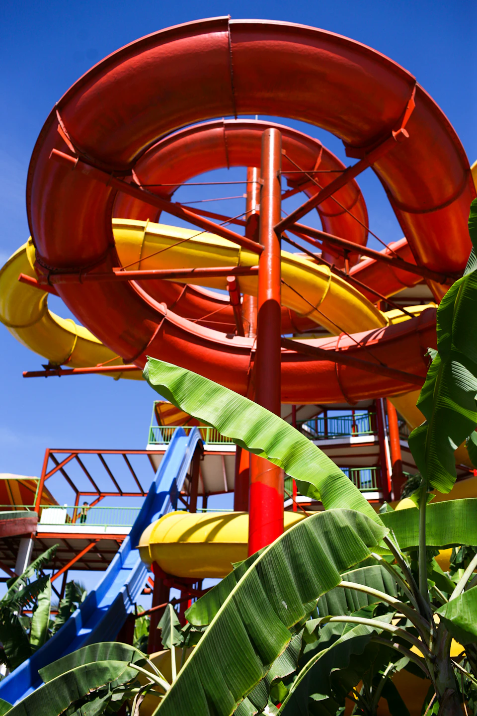 Brightly colored water slides intertwine above a structure surrounded by tropical plants, under a clear blue sky.