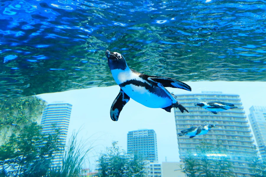 東京 Sunshine Aquarium 門票